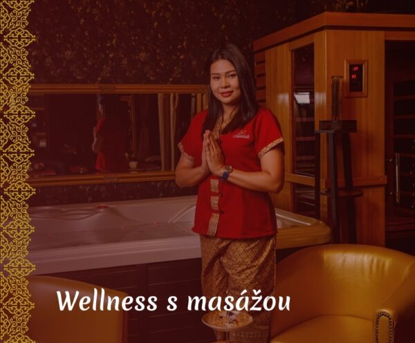 wellness_s_masazou